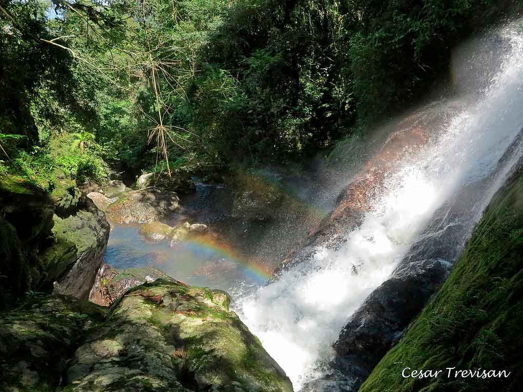 Cachoeira Parque Natural Braço Esquerdo Jaraguá do Sul
