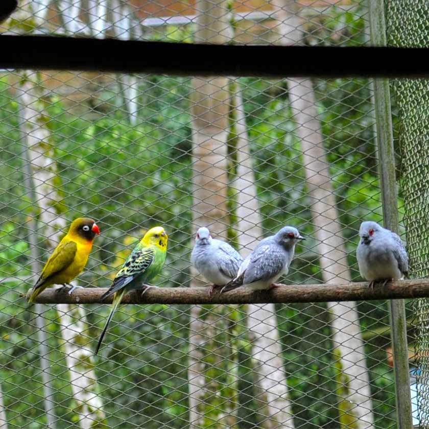Parque Natural Aves Sao Bento Sul SC