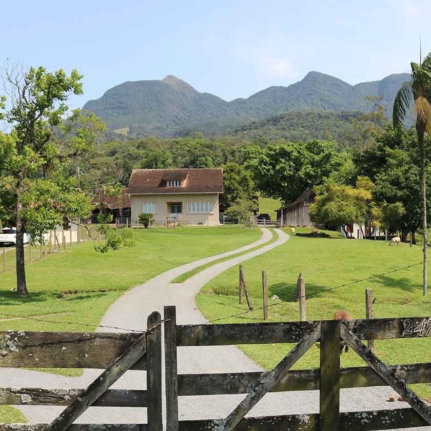 dario-drews-propriedade-rural-ilha-figueira